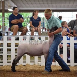 Meet your Posher, Matthew